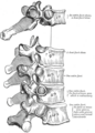 Thumbnail for version as of 17:28, 18 May 2026