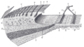Thumbnail for version as of 17:28, 18 May 2026