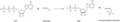 Thumbnail for version as of 13:40, 8 June 2026