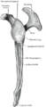 Thumbnail for version as of 03:20, 5 June 2026