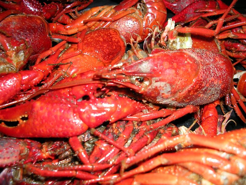 File:Louisiana crawfish.jpg