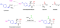 Thumbnail for version as of 19:20, 4 June 2026