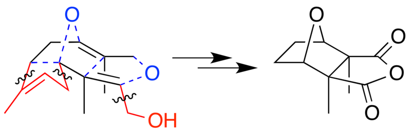 File:Cantharidin biosynthesis2.png