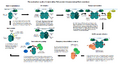 Thumbnail for version as of 01:22, 2 June 2026