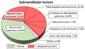 Submandibular gland