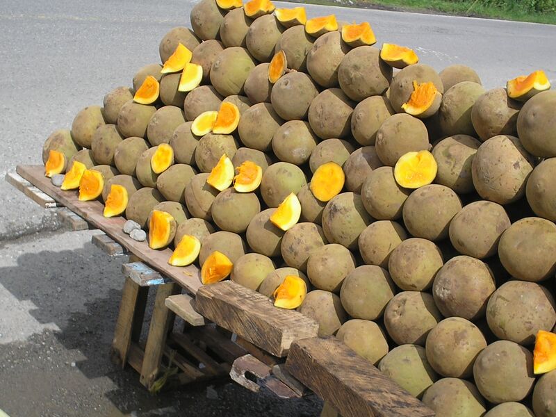 File:Zapotes.jpg