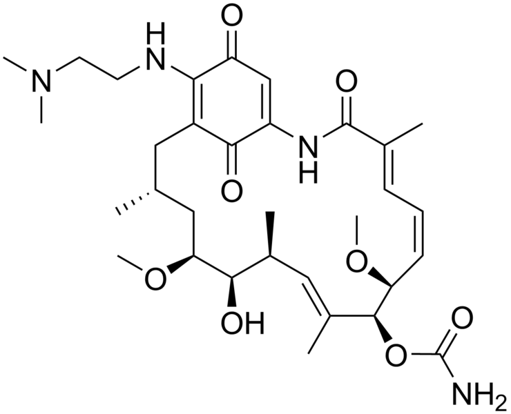 File:17-(dimethylaminoethylamino)-17-demethoxygeldanamycin.png