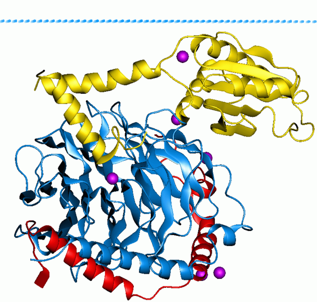 File:1b9x opm.png