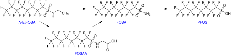 File:Biotransformation N-EtFOSA labeled.svg