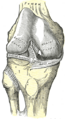 Gray347