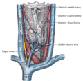 Thumbnail for version as of 17:28, 18 May 2026