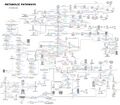 Thumbnail for version as of 22:36, 8 June 2026