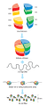 Nucleosome