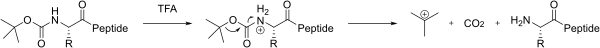File:Boc deprotection peptide.svg