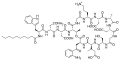 Thumbnail for version as of 02:09, 24 May 2026