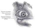 Thumbnail for version as of 17:28, 18 May 2026