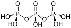 File:Triphosphorsäure.svg