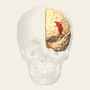 Thumbnail for version as of 19:19, 4 June 2026