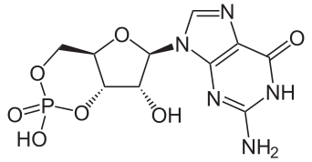 File:CGMP2.svg