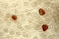 Thumbnail for version as of 03:36, 5 June 2026