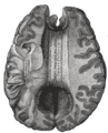 Thumbnail for version as of 17:28, 18 May 2026