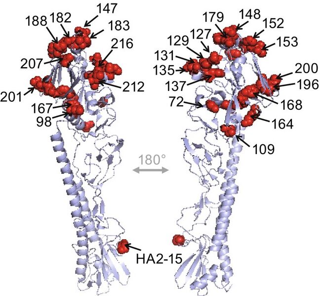 File:13238 2014 111 Fig1 HTML.jpg