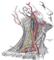 Thumbnail for version as of 15:11, 6 June 2024