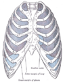 Thumbnail for version as of 17:28, 18 May 2026