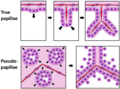 Thumbnail for version as of 03:23, 5 June 2026