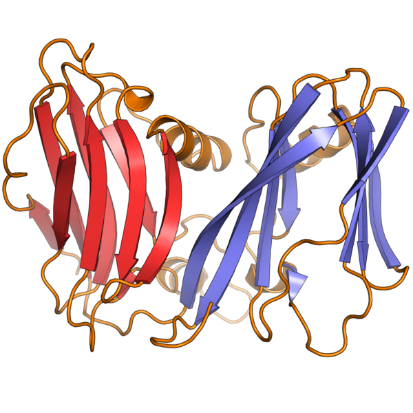 File:2w0c monomer.png