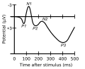 Components of an ERP