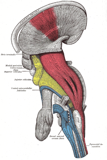 File:Gray684.png