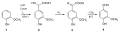 Thumbnail for version as of 15:39, 25 May 2026