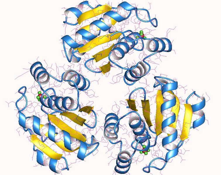 File:1xm2.jpg