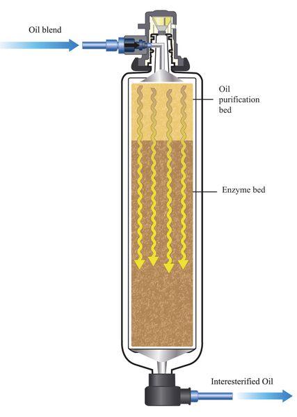 File:Eie-illustration.jpg