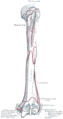 Thumbnail for version as of 17:28, 18 May 2026