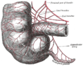 Thumbnail for version as of 17:27, 18 May 2026