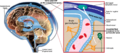 Thumbnail for version as of 02:08, 7 June 2026