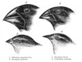 Thumbnail for version as of 02:27, 19 May 2026