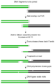 Thumbnail for version as of 02:08, 2 June 2026