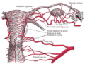 Thumbnail for version as of 03:47, 18 May 2026