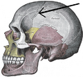 Thumbnail for version as of 12:51, 29 May 2026