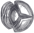 Thumbnail for version as of 17:28, 18 May 2026
