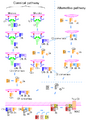 Thumbnail for version as of 01:21, 2 June 2026