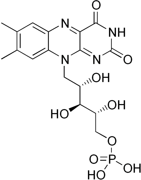 File:Flavin mononucleotide.png
