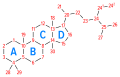 Steroid numbering diagram
