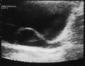 Thumbnail for version as of 22:31, 8 June 2026