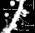 Thumbnail for version as of 12:48, 29 May 2026