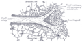 Thumbnail for version as of 17:28, 18 May 2026