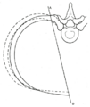 Thumbnail for version as of 17:28, 18 May 2026